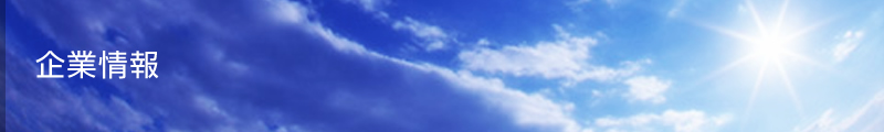 企業情報